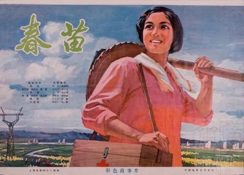 兵庫医科大学 Sociological degree